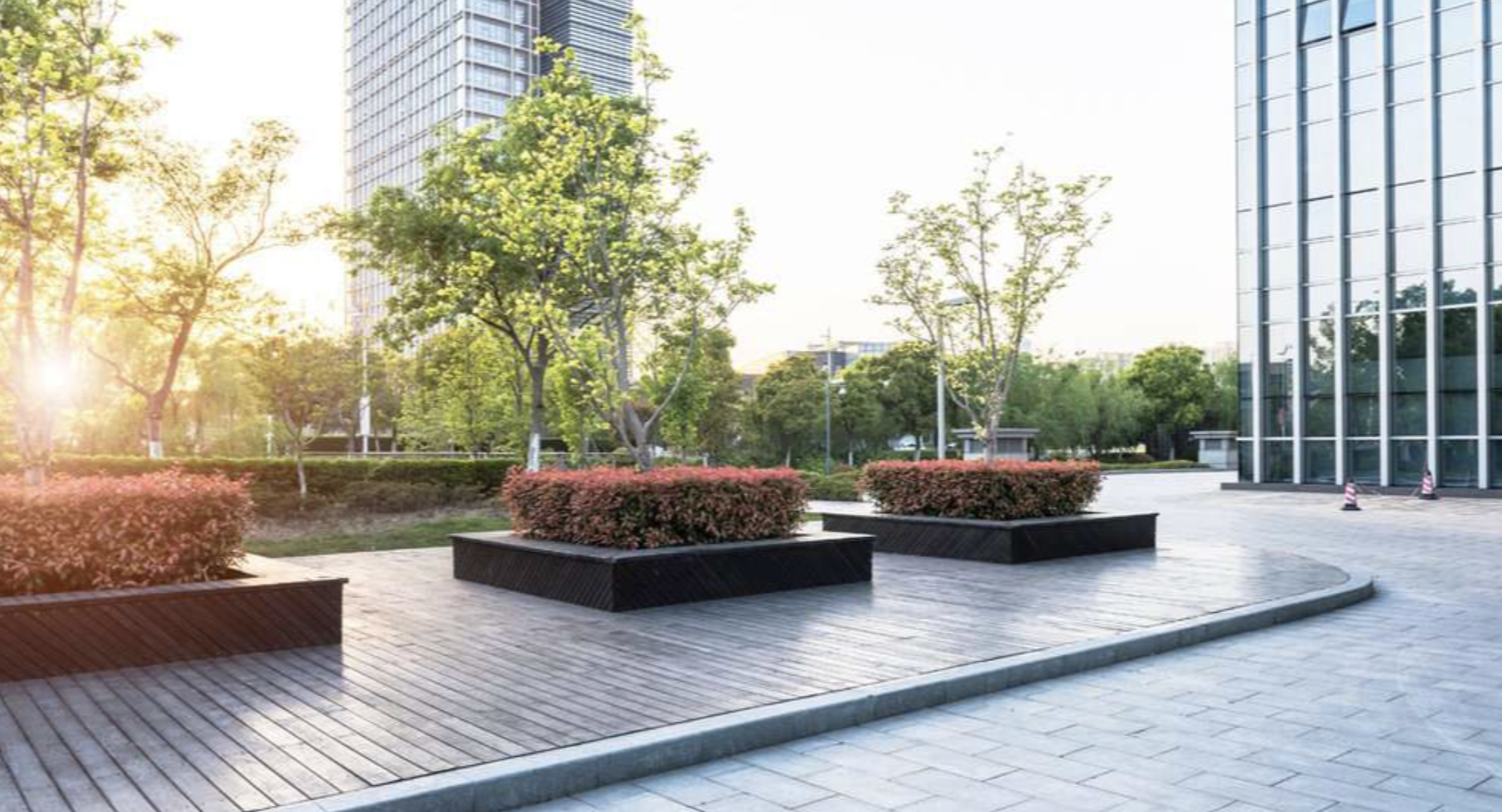 Commercial plaza landscaping